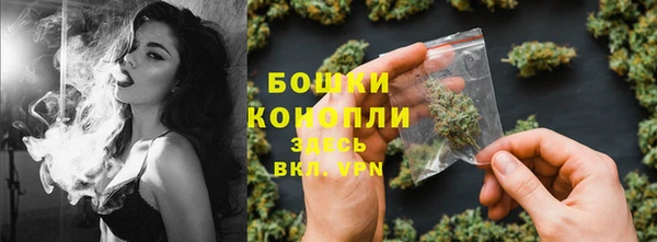 индика Мегион