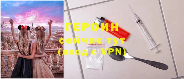 индика Мегион