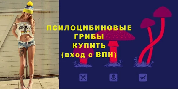 прущие грибы Ухта
